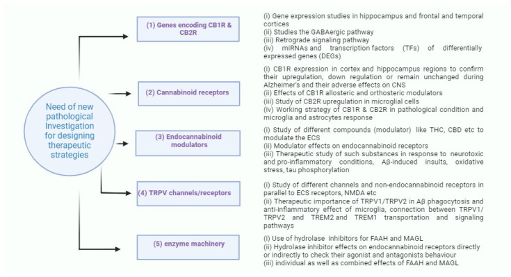 Prospective ways of investigation concerned with different pathological lines for designing potential therapeutic strategies.