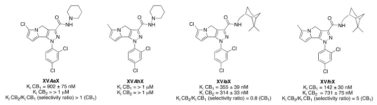 Structure of representative 1,4-dihydropyrazolo(3,4-a)pyrrolizine-based derivatives (XV). Affinities at CB1 and CB2 receptors were assessed by competition of (3H)-CP 55,940 in mouse whole-brain membranes and in CHO cell membranes transfected with hCB2 receptors [56].