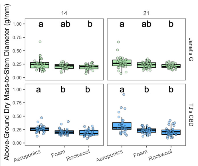 Above-ground biomass-to-stem diameter (g/mm) was compared across propagation systems—aeroponics, rockwool, and (horticultural) foam—using Cannabis sativa L. Stem diameter was taken into account in mass measurements by dividing above-ground masses by stem diameter. Mean separation across propagation systems is indicated with letters, using Tukey’s Honest Significant Difference at p < 0.05.