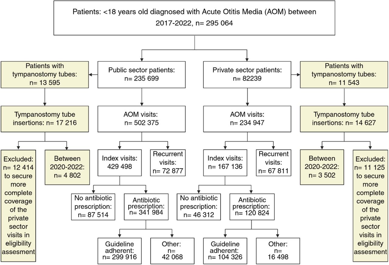 A flowchart of the retrospective cohort used to assess clinical outcomes (Created in https://BioRender.com).