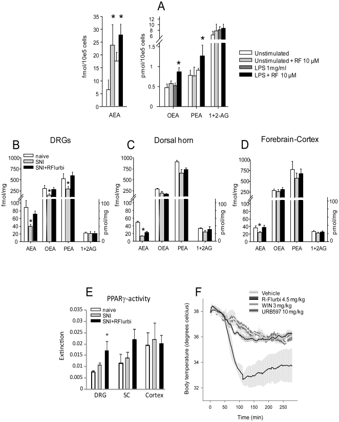 Modulation of endocannabinoid levels by R-flrubiprofen in microglial cells (EOC20) and tissue. a Endocannabinoids in EOC20 at baseline and after stimulation with LPS (1 mg/ml) with or without treatment with R-flurbiprofen (10 µM); n = 6 experiments per group. b Endocannabinoids in ipsi lateral L4/5 DRGs, c ipsi lateral dorsal horn of the spinal cord d and contra lateral forebrain cortex in the SNI model 7 days after nerve injury and treatment with 4.5 mg/kg R-flurbiprofen or vehicle twice daily in mice (n = 8 per group; P<0.05). AEA, anandamide; OEA, oleylethanolamine; PEA, palmitoylethanolamine; 1AG and 2AG, 1- and 2-arachidonoylglycerol were analyzed by LC-MS/MS. P<0.05 for all tests. e PPARγ activity in nuclear protein extracts of L4/5 DRGs, spinal cord and forebrain cortex in naïve mice and in nerve injured mice 7 days after SNI. Mice were treated with vehicle or 4.5 mg/kg R-flurbiprofen twice daily. Results represent pooled extracts of 6 mice in each group. f Core body temperature in mice (mean ± s.e.m. shadowed area) treated with the CB1 agonist, WIN55,212-2, the FAAH inhibitor URB597, R-flurbiprofen and respective vehicles (n = 6 per group). Vehicles 10% or 50% DMSO did not produce changes of the core temperature as compared to phosphate buffered saline and were summarized. The decrease of core temperature in vehicle treated mice is caused by resting during the day. Hypothermia in mice is defined as core temperature <35°C.
