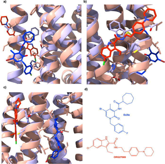 Comparison between the CB1 allosteric binding site (PDB ID: 6KQI)21 and the putative CB2 allosteric site (PDB ID: 5ZTY).31 Structural alignment of CB121 (lilac) with allosteric modulator, ORG27569 (red), bound and CB2 (salmon-pink) with allosteric modulator, Ec2la (blue), bound. (a) View of Ec2la (blue) in CB2 (salmon-pink) binding pocket. (b) View of ORG27569 (red) in CB121 (lilac) binding pocket. (c) Side view of both allosteric modulators, Ec2la (blue) and ORG27569 (red), in their corresponding allosteric sites CB121 (lilac) and CB2 (salmon-pink), respectively. (d) Structures of Ec2la and ORG27569. Alignment demonstrates that both allosteric sites are found in similar protein portions of each receptor. Although they are in similar positions, they are not overlapping; therefore, the sites are significantly different, increasing the chances of designing specific CB2 allosteric modulators. The CB121 complex is an experimental structure solved with the allosteric modulator, ORG27569, bound and the CB2 structure bound to allosteric modulator, Ec2la, is from docking studies. The experimental structure for CB2 used is from the inactive-state human X-ray crystal structure.31 Images were generated using UCSF ChimeraX.38