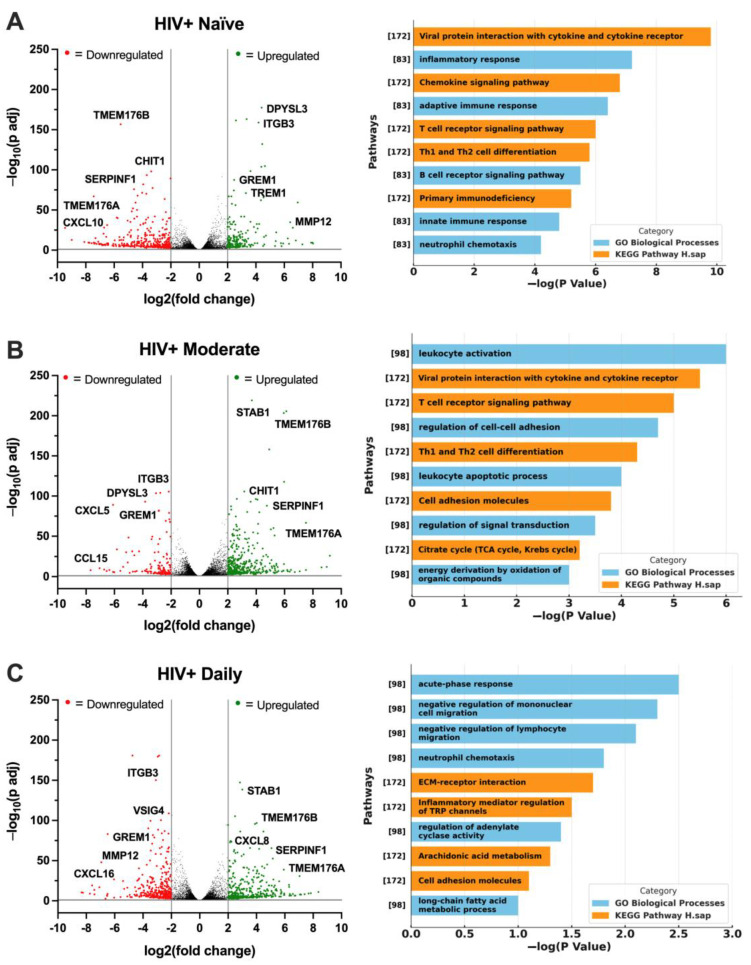 Cannabis use in PWH differentially alters the gene expression profile of MDMs. (A–C) Volcano plots with corresponding gene ontology (GO) term plots for (A) HIV+ Naïve, (B) HIV+ Moderate, and (C) HIV+ Daily MDMs. (D) Principal component analysis (PCA) plot displaying sample variance among MDMs from PWH with varying cannabis-use frequency. (E) Heat map of TREM2-related and other relevant genes in MDMs treated with CBD (30 µM), IL1B (20 ng/mL), or C + I. (F) Differentially expressed genes from RNA-seq analyses. (G) RT-qPCR analyses of differentially expressed genes using additional donor samples. Data presented as mean ± SEM analyzed using one-way ANOVA with Holm–Sidak’s multiple comparisons tests. Statistical significance was determined at * p < 0.05, ** p < 0.01, *** p < 0.001. Abbreviations: CHIT1, Chitinase 1; SMAD3, SMAD Family Member 3; ZAP70, Zeta Chain of T Cell Receptor Associated Protein Kinase 70; TREM1, Triggering Receptor Expressed on Myeloid Cells 1; VSIG4, V-Set and Immunoglobulin Domain Containing 4.