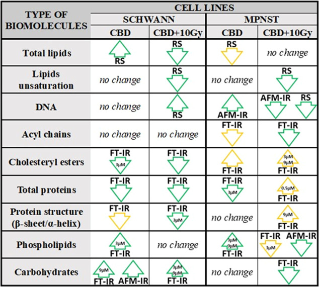 Summary of biochemical changes induced by CBD and CBD in combination with X-ray radiation on Schwann and MPNST cell lines. From Raman (RS), FT-IR, and AFM-IR data, it was possible to obtain information about the increase (arrow up) or decrease (arrow down) in the content of various types of biomolecules. Changes were statistically significant compared to the control (green contour) or between different CBD concentrations (yellow contour).