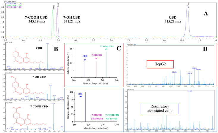 Chromatogram, percent relative abundance and mass spectra in LC-MS/MS positive ESI mode (centroid) of CBD at m/z = 315.21 and its metabolites at m/z = 331.21 (7-OH-CBD) and m/z = 345.19 (7-COOH-CBD) (A–C) derived from the incubation of CBD in Hep-G2 and respiratory associated cell lines for 24 h (D).