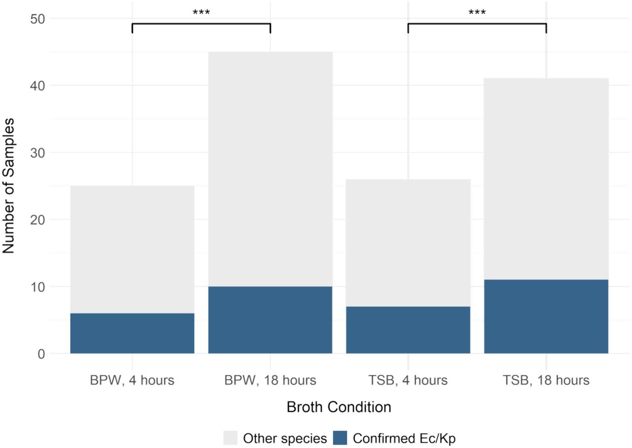 Detection of ESBL-Ec and ESBL-Kp (blue) and other ESBL-producing gram-negatives (grey) from plated environmental samples after pre-enrichment in buffered-peptone water (BPW) or tryptic soy broth (TSB), each incubated for 4 and 18 hours. Significance of pairwise comparisons (McNemar’s test) shown as p<0.001 = ‘***’.