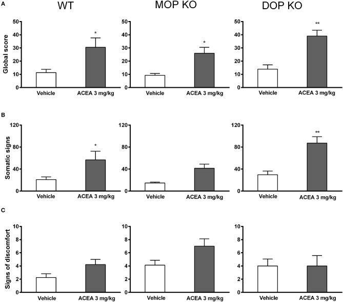 Effects of ACEA treatment on naloxone-precipitated withdrawal in wildtype (WT), MOP knockout (KO), and DOP KO mice. Bars represent mean (+SEM) global withdrawal scores (A), somatic signs (B), and signs of discomfort (C) for each genotype over a 20-min observation session. Naloxone (1 mg/kg) was administered 2 h after the last injection of vehicle or ACEA (3 mg/kg per day for 5 days). ACEA = arachidonyl-2-chloroethylamide *P < 0.05; **P < 0.01.
