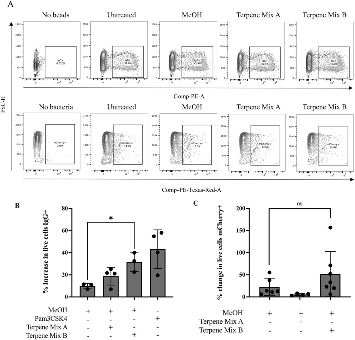 Terpene Mix B increases phagocytosis against opsonized beads. (A) Representative gating strategies for quantification of phagocytic cells using flow cytometry. (B) Terpene Mix B increased the percentage of phagocytic macrophages by approximately 30% when challenged with fluorescently labelled latex beads opsonized with IgG. (C) Neither terpene mixture significantly affected phagocytosis of mCherry-expressing Escherichia coli. Results are expressed as the mean ± SEM of 3–6 independent experiments. ns, not significant, *P < 0.05.