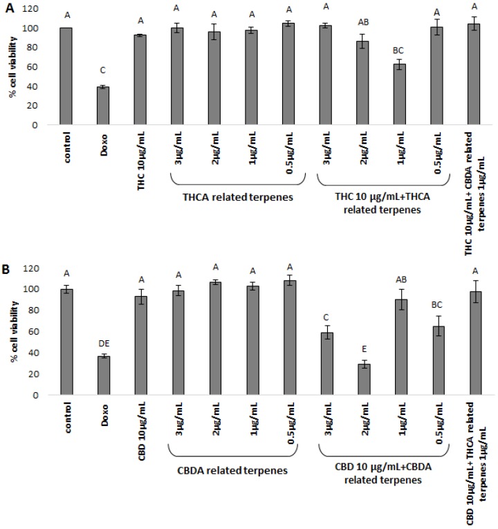XTT cell viability assay of MDA-MB-231 cell line, treated for 48 h with (A) THC and terpene fraction; (B) CBD and terpene fraction. THC/CBD—in all treatments the phytocannabinoid concentration was 10µg/mL. The various concentrations of co-related terpenes and cross-related terpenes are detailed in the figure. Control—mixture of methanol and hexane (1:1), the solvent used for extraction and treatment. Doxo—doxorubicin 1 µg/µL. THCA-related terpenes—terpenes listed in Table 1A for Cs12 strain, fraction 6. CBDA-related terpenes—terpenes listed in Table 1B for the Arbel strain, fraction 3. THC + CBDA-related terpenes and CBD + THCA-related terpenes treatments were carried out at a ratio of 1:10 (1 µg/mL:10 µg/mL terpenoid:phytocannabinoid). Total amounts were extrapolated from the dry weight of the extracts and the relative amounts of the different molecules identified, as calculated from the area under the peak, valued by GC-personalized integration parameters (see Table 2). Percent cell viability is presented as mean ± SD. Columns with different letters are significantly different from all combination pairs, according to the Tukey–Kramer honest significant difference (HSD, P ≤ 0.05).