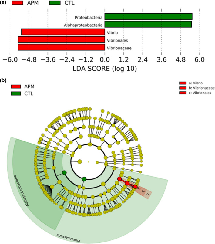 Linear discriminant analysis effect size (LEfSe) analysis conducted using OTUs obtained: (a) Differentially abundant taxa among compared sample groups based on computed Linear discriminant analysis (LDA) scores (LDA cutoff value: 5.0 or higher), (B) Circular cladogram plotted using LEfSe analysis (the dots represent operational taxonomic units [OTUs] at different taxonomic levels from center phylum level to outer circle genus level). APM: Vp AHPND‐infected; CTL: uninfected control