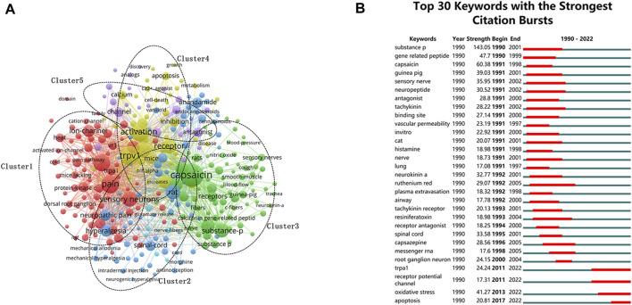 Analysis of keywords. (A) Map of keyword clustering in TRPV1 research. (B) Top 30 keywords with the strongest citation bursts.