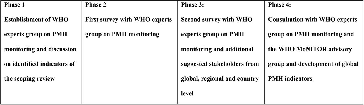 Phases to develop global PMH indicators
