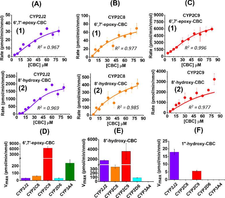 Metabolism of CBC by CYPs. Metabolism of CBC (0–80 μM) in the presence of CYPs leads to the formation of 6′,7′-epoxy-CBC (shown in the first row as 1) and 8′-hydroxy-CBC (shown in the second row as 2) for (A) CYP2J2, (B) CYP2C8, and (C) CYP2C9. The rate of product formation is analyzed in Origin software to get the Vmax values. Vmax for (D) 6′,7′-epoxy-CBC formation, (E) 8′-hydroxy-CBC formation, and (F) 1″-hydroxy-CBC formation are compared among different CYPs. Data has been fitted to either the Michaelis–Menten or Hill equation, error bars represent ± SEM, and R2 values for fittings are shown. (Plots for CYP2D6 and CYP3A4 are shown in the Supporting Information Figure S4 along with 1″-hydroxy-CBC formation.)