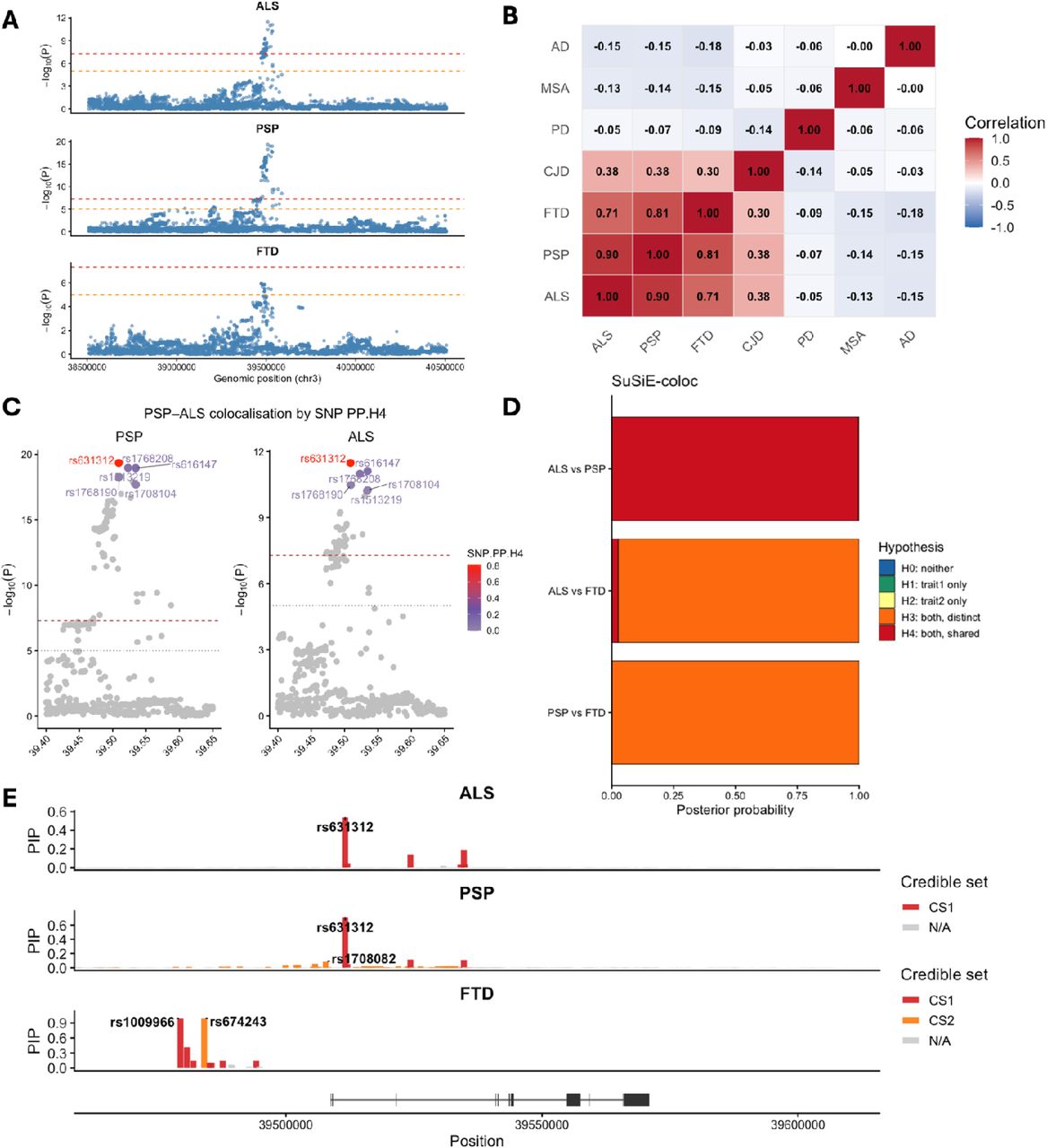 Genetic architecture and cross-disease colocalisation of the MOBP locus across neurodegenerative diseases.A) Regional Manhattan plots for PSP, ALS and FTD across a ±1 Mb window around the MOBP locus. Points represent single SNP associations, plotted as –log10(P). Red and orange dashed lines indicate genome-wide significance (P = 5×10□□) and suggestive significance (P = 1×10□□), respectively. B) Pairwise correlation heatmap of GWAS –log10(P) values across the MOBP region. C) Zoomed association plots for PSP and ALS around the MOBP peak, with SNPs coloured by their SNP-level posterior probability of belonging to the shared H4 component from COLOC.ABF (SNP.PP.H4). D) SuSiE-coloc posterior probabilities for disease-pair comparisons at MOBP. E) Regional fine-mapping plots showing SuSiE-derived credible sets for PSP, ALS, and FTD across the MOBP locus. SNPs are coloured by credible set membership: CS1 (primary credible set), CS2 (secondary credible set), or non-credible set (N/A). ALS, amyotrophic lateral sclerosis; PSP, progressive supranuclear palsy; FTD, frontotemporal dementia; AD, Alzheimer’s disease; MSA, multiple system atrophy; PD, Parkinson’s disease; CJD, Creutzfeldt-Jakob disease; SNP, single-nucleotide polymorphism; PP, posterior probability.