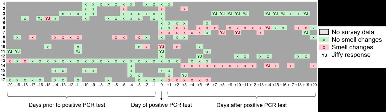 Chronology of smell changes among COVID-positive healthcare workers relative to day of positive test. Red boxes indicate smell change was reported via either the symptom survey or Yale Jiffy. Green boxes indicate no smell change reported. Solid gray boxes indicate there was no Yale Jiffy or symptom survey submitted for that day. Boxes with a “YJ” specifically indicate a Yale Jiffy response.