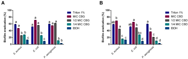 Biofilm eradication percentage caused by CBG (A) and CBD (B) over S. aureus, E. coli, and P. aeruginosa. Ethanol was used as a solvent control. Triton at 1% (v/v) was used as an eradication control. Data are represented as mean ± SD for 2 independent experiment encompassing 4 replicates. Letters mark statistically significant differences (p < 0.05) for each individual microorganism.