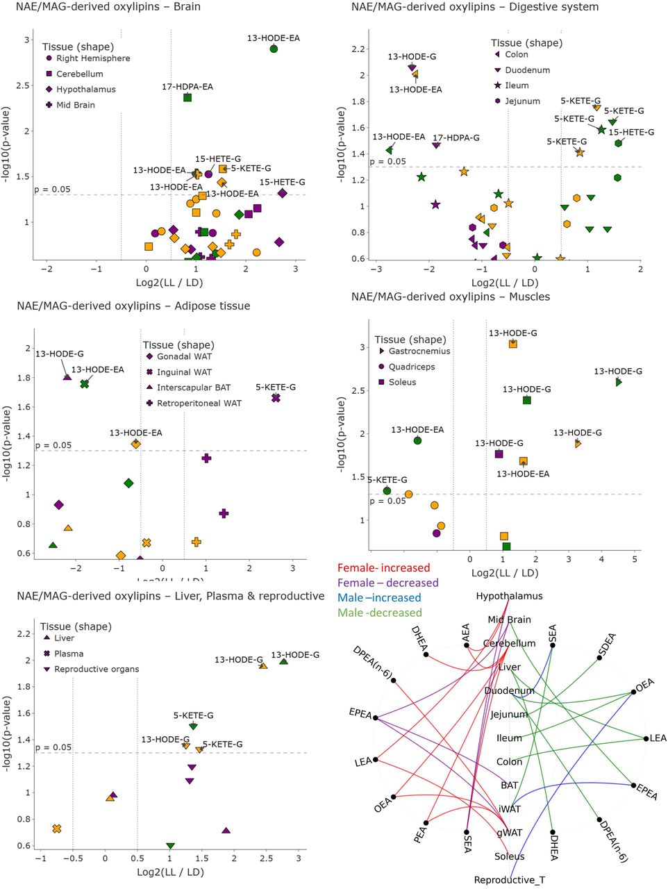 volcano plot of NAE- and 2-MAG-derived Oxylipins; volcano plot showing differential levels of N-Acylethanolamines (NAEs) and Monoacylglycerols (MAGs) derived Oxylipins between LL and LD across all tissues analyzed. Each point represents one NAES and MAGs-oxylipins measured in a specific tissue, with symbol shapes indicating the corresponding organ. Data are stratified by sex: females (purple), males (green), and combined (merged sexes; yellow). The x-axis shows the log□ fold change (LL/LD) and the y-axis shows the –log□□(p-value). Molecules above the dashed horizontal line reached nominal statistical significance (p < 0.05). Labels highlight representative significant lipid mediators in each tissue. Chord Diagram (summary figure of NAE- and 2-MAG-derived oxylipin changes; bottom right); Significant NAE- and 2-MAG-oxylipin changes across tissues in female and male mice under constant light exposure. Tissue nodes are aligned vertically, molecules appear on sex-specific arcs, and curves indicate LL-vs-LD regulation colored by sex and direction.