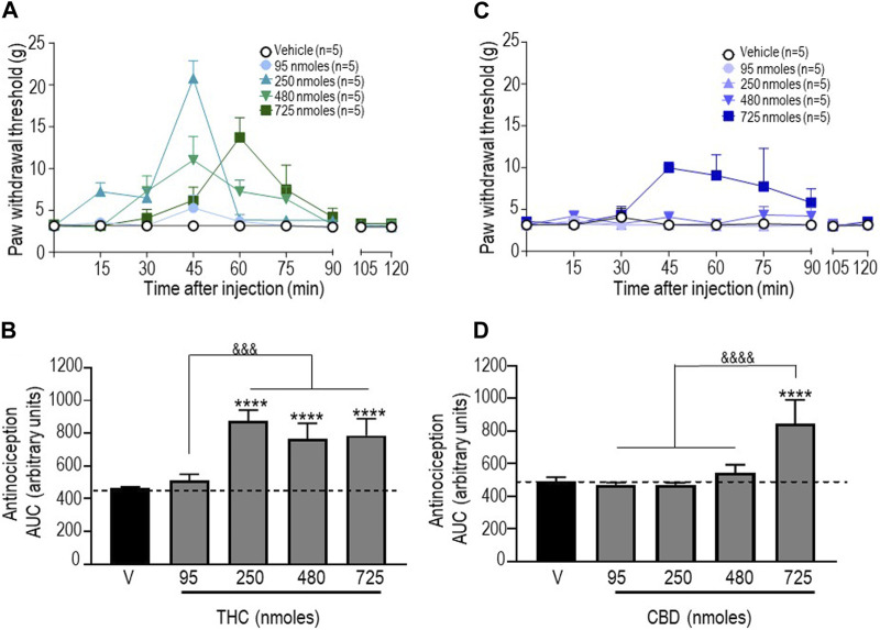 Anti-allodynic effects of THC and CBD in STZ rats. One week after STZ administration, rats received i.t. injections of (A) THC or (C) CBD at the indicated doses. Mechanical thresholds were assessed every 15 min after injection for a period of 120 min, thus allowing all responses to return to baseline. (B, D) Histograms show AUC values (mean ± SEM; n = 5) corresponding to withdrawal thresholds integrated over 120 min and are expressed in arbitrary units. A one-way ANOVA followed by Sidak’s multiple comparison test was used to compare anti-allodynic responses. ****p < 0.0001 compared to vehicle; &&&& p < 0.0001, comparison as indicated.