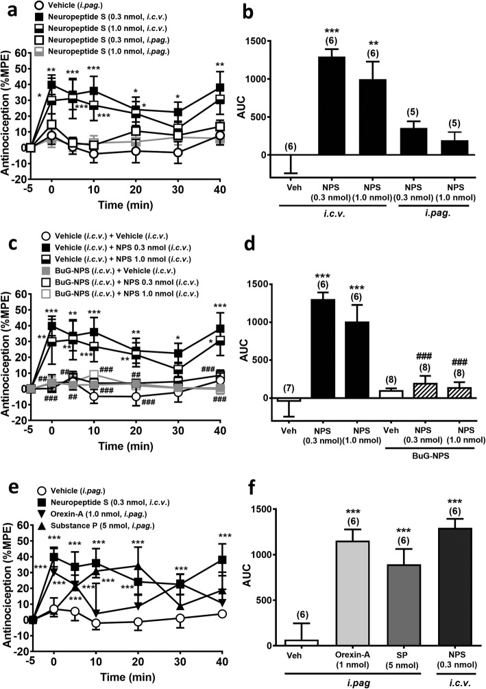 Antinociceptive effects induced by NPS, orexin-A and substance P in the mouse hot-plate test. a-b: Antinociceptive effects of NPS (0.3 & 1.0 nmol) by i.c.v. or i.pag. microinjection. c-d: Antinociceptive effects of i.c.v. NPS challenged by an NPSR antagonist, [tBu-D-Gly5] NPS (10 nmol, i.c.v.). e-f: A comparison of antinociceptive effects of orexin-A (1 nmol, i.pag.), substance P (5 nmol, i.pag.), and NPS (0.3 nmol, i.c.v.). a, c and e: The time course of the antinociceptive effect expressed as the percentage of the maximal possible effect (MPE) (two-way ANOVA /post hoc Bonferroni test). b, d and f: The area under the curve (AUC) of the % MPE measured within 40 min in each treatment group (one-way ANOVA /post hoc Tukey test). The number denoted in the parentheses above each bar is the n number of mice tested in each group. Data are mean ± S.E.M. *p < 0.05, **p < 0.01, ***p < 0.001 vs. the vehicle control group, ###p < 0.001 vs. NPS 0.3 or 1.0 group
