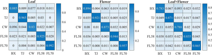 Confusion matrices for hemp cultivar classification using the samples from all the growth stages. Each confusion matrix is obtained by pooling and row-wise normalizing classification results over 30 modeling replications.