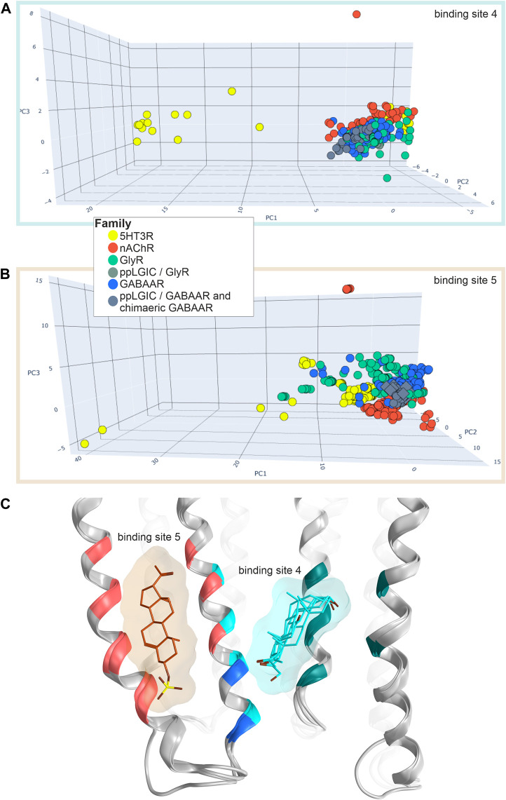 Conformation analysis of the lower TMD with sites 4 and 5: (A,B) Scatter plots of the pocket conformations. Each dot represents the results for an individual site, diamond shaped symbols indicate the presence of a ligand in the analysed site. The colour of the dots indicates the protein family as defined in the legend, gray is used for diverse chimeras. ppLGIC: procaryotic pentameric ligand gated ion channel. (C) Superposition and comparison of 5OSB, 5OSC, 5O8F and 6CDU. Pregnenolone sulfate bound to site 5 is rendered in brown sticks, THDOC, alphaxalone and pregnenolone bound at site 4 in cyan sticks. Ribbon colouring indicates contributions to site 5 (red), 4 (cyan) or both (blue).