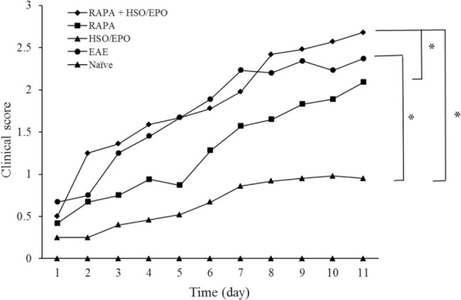 Clinical course of EAE in animals. Data presented as mean ± SEM. *P value ≤ 0.05 is significant. EAE, experimental autoimmune encephalomyelitis; RAPA, rapamycin; HSO/EPO, hemp seed oil/evening primrose oil.