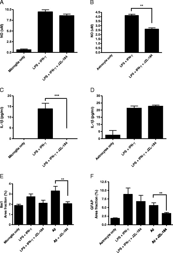 JZL184 decreased secretion of NO and IL-1β from adult glial cells exposed to proinflammatory agents. Astrocytes and microglia were pre-incubated with MAGL inhibitor JZL184 for 30 min before inducing proinflammatory responses by simultaneous exposure of 1 μM LPS and 100 ng/ml IFN-γ. After 24 h of incubation, secretion of NO was reduced (A) slightly in microglia and (B) significantly (P < 0.01) in astrocytes treated with JZL184 compared to exposed cells w/o JZL184 treatment. JZL184 induced (C) a marked reduction in IL-1β secretion from microglia (P < 0.001) but (D) did not have an effect on astrocytes compared to cells w/o JZL184 treatment. Pre-treatment with JZL184 decreased (E) Iba1 and (F) GFAP expression slightly in microglia and astrocytes induced with LPS and IFN-γ and significantly in microglia and astrocytes induced with Aβ42 (P < 0.01).