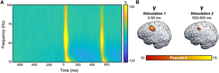 Time-frequency responses to somatosensory stimulation of the right median nerve. (A) Grand-averaged time-frequency spectrogram of an MEG sensor showing the significant gamma responses (30–90 Hz, stimulation 1: 0–50 ms; Stimulation 2: 500–550 ms) to the stimulations, which occurred at 0 and 500 ms. The spectrogram displays frequency (Hz) on the y-axis and time (ms) on the x-axis. Signal power is expressed as the per cent difference from the baseline period, with the colour legend shown to the right of the spectrogram. (B) Grand-averaged beamformer images (pseudo-t) across all participants (n = 108) for the gamma time-frequency component for Stimulation 1 (left) and Stimulation 2 (right).