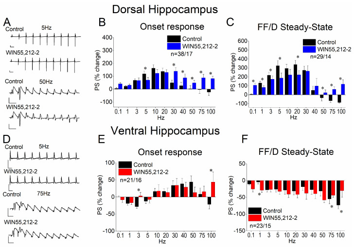 Effects of WIN55,212 on STND in the dorsal (A–C) and ventral (D–F) hippocampus. (A,D) Representative example traces of PSs evoked by a ten-pulse train at 5 and 50 Hz in the dorsal (A) 5 and 75 Hz and the ventral (D) hippocampus. Calibration bars: 1 mV (all traces); 100 ms in traces of 5 Hz, 20 ms in traces of 50, and 10 ms in traces of 75 Hz. (B,E) Effect of 5μM WIN55,212 on the first conditioned PSs (onset response) plotted as a function of stimulation frequency in the dorsal (B) and the ventral (E) hippocampus. (C,F) Effect of 5 μM WIN55,212 on the steady-state response (average of the 8th–10th conditioned responses) plotted as a function of the stimulation frequency in the dorsal (C) and the ventral (F) hippocampus. Asterisks denote statistically significant effects of the drug at p < 0.05. The number of slices/animals is stated on the graphs.