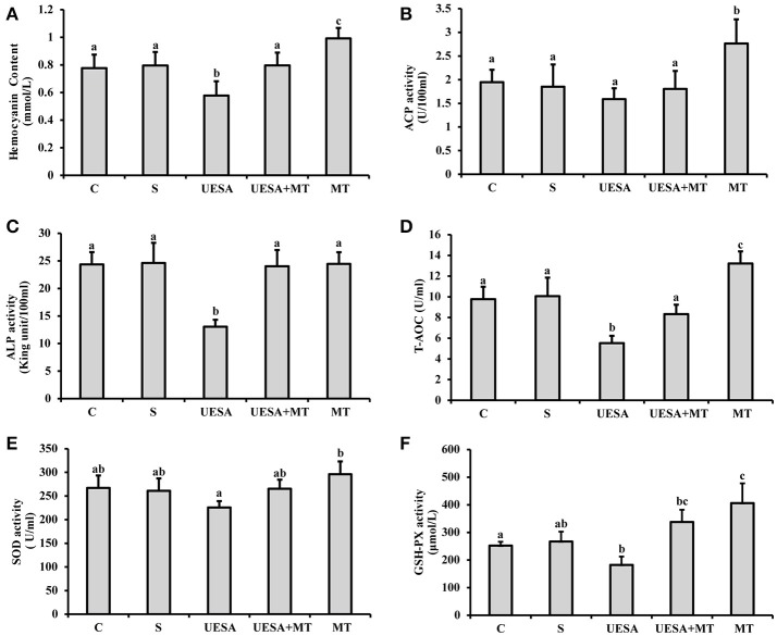 The effect of unilateral eyestalk ablation and melatonin injection on the immune and antioxidant capacity in E. sinensis. (A) Hemocyanin content; (B) acid phosphatase (ACP) activity; (C) alkaline phosphatase (ALP) activity; (D) total antioxidant capacity (T-AOC); (E) superoxide dismutase (SOD) activity; and (F) glutathione peroxidase (GSH-PX) activity. The values are expressed as the means ± SD (n = 10). Different letters placed above column represent significant differences between treatments (P < 0.05).