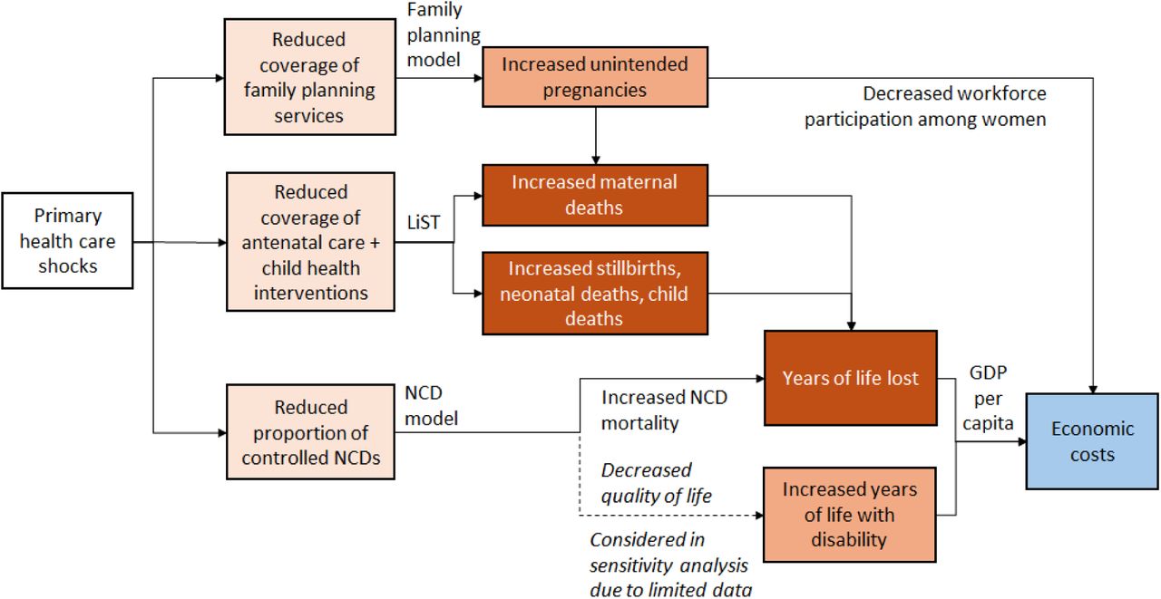 Framework used to estimate the health and economic costs of shocks to primary health care services. The Lives Saved Tool (LiST)14 was used to estimate the impact of reduced coverage of antenatal care and child health interventions and custom models were used to estimate the impact of reduced primary health care coverage on family planning and non-communicable disease (NCD) mortality and years lived with disability.