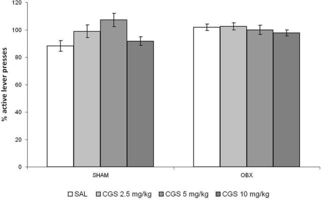 Acute pre-treatment with CGS does not affect WIN self-administration. Effect of acute pre-treatment with CGS-12066B on WIN self-administration in SHAM (n = 6) and OBX (n = 7) Lister Hooded rats. Data are expressed as percentage changes of active lever pressing compared to 6-day baseline (assumed as 100%). The repeated measures ANOVA did not detect a significant effect of drug treatment.