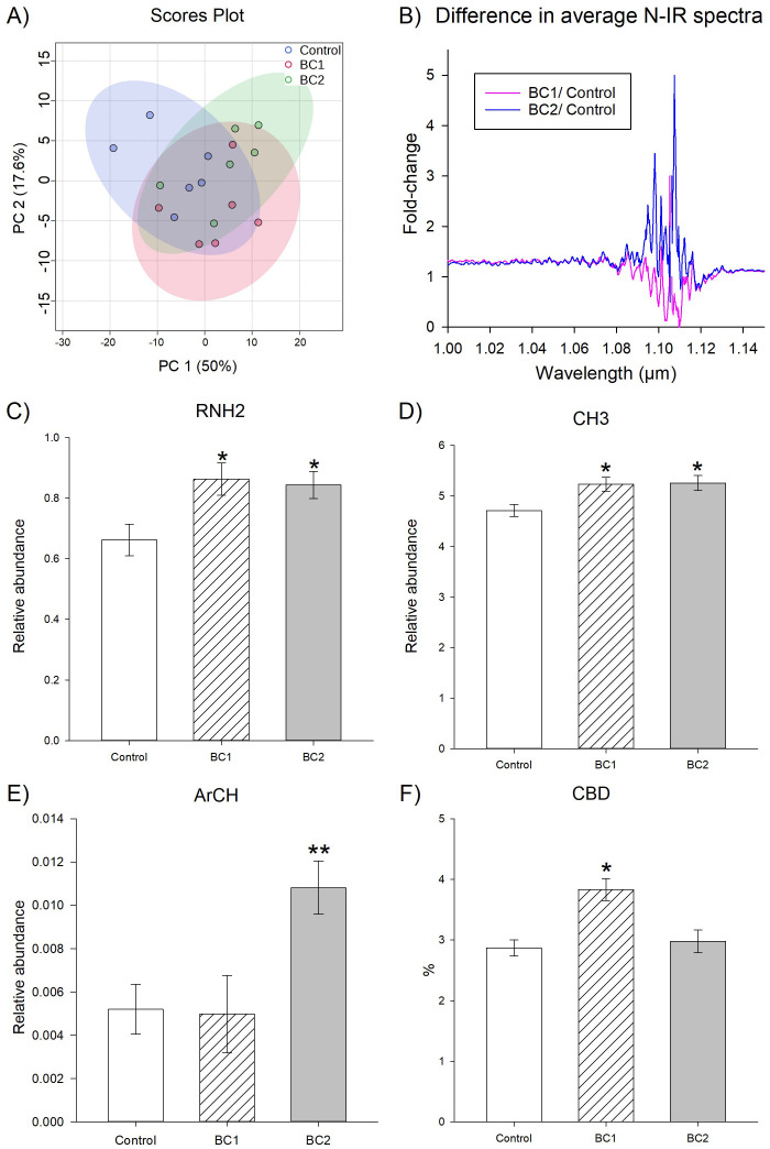 Scientific figure containing six panels. Panel A shows a PCA scores plot with data points and ellipses for Control (blue), BC1 (red), and BC2 (green) groups. Panel B presents a line graph comparing fold-change in average N-IR spectra between BC1/Control and BC2/Control across wavelengths from 1.00 to 1.14 micrometers, with distinct lines for each comparison. Panels C-F display bar graphs of relative abundance or percentage for RNH2, CH3, ArCH, and CBD, respectively, comparing Control, BC1, and BC2; significance is denoted with asterisks above BC1 or BC2 bars.