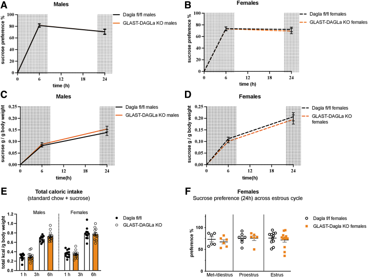 There were no genotype differences between GLAST-Dagla KO and control mice of either sex in sucrose preference test. (A, B) Cumulative sucrose (1%) preference over the total amount of liquid consumed did not differ between GLAST-Dagla KO and control mice in either males [genotype F (1, 21)=0.000294, p=0.987; time F (1, 21)=31.4, p<0.0001; time×genotype F (1.21)=0.00368, p=0.952] or females [genotype F (1, 21)=0.0982, p=0.757; time F (1, 21)=1.598, p<0.22; time×genotype F (1.21)=0.372, p=0.549]. (C, D) Cumulative sucrose solution intake per gram of body weight was not different in males [genotype F (1, 19)=0.587, p=0.453; time F (1, 19)=109.9, p<0.0001; time×genotype F (1.19)=0.568, p=0.46] or females [genotype F (1, 20)=0.438, p=0.515; time F (1, 20)=94.4, p<0.0001; time×genotype F (1.20)=0.000569, p=0.981). (E) Total caloric intake (from sucrose solution plus standard chow)/gram of BW does also not differ in males [genotype F (1, 19)=0.587, p=0.453; time F (1, 19)=109.9, p<0.0001; time×genotype F (1.19)=0.568, p=0.46] or females [genotype F (1, 20)=0.438, p=0.515; time F (1, 20)=94.4, p<0.0001; time×genotype F (1.20)=0.000569, p=0.981] in the sucrose preference test. (F) Sucrose preference does not change between different estrous cycle stages in female GLAST-Dagla KO and control mice, 24 h time-point is shown, two cohorts of mice were pooled; met-/diestrus: p=0.450, proestrus: p=0.703, estrus: p=0.552. Results of two-way ANOVA (n=10–13/group) (A–C). Mann–Whitney U or Student's t-tests (n=6–12/subgroup) (D). Values represent mean±SEM.