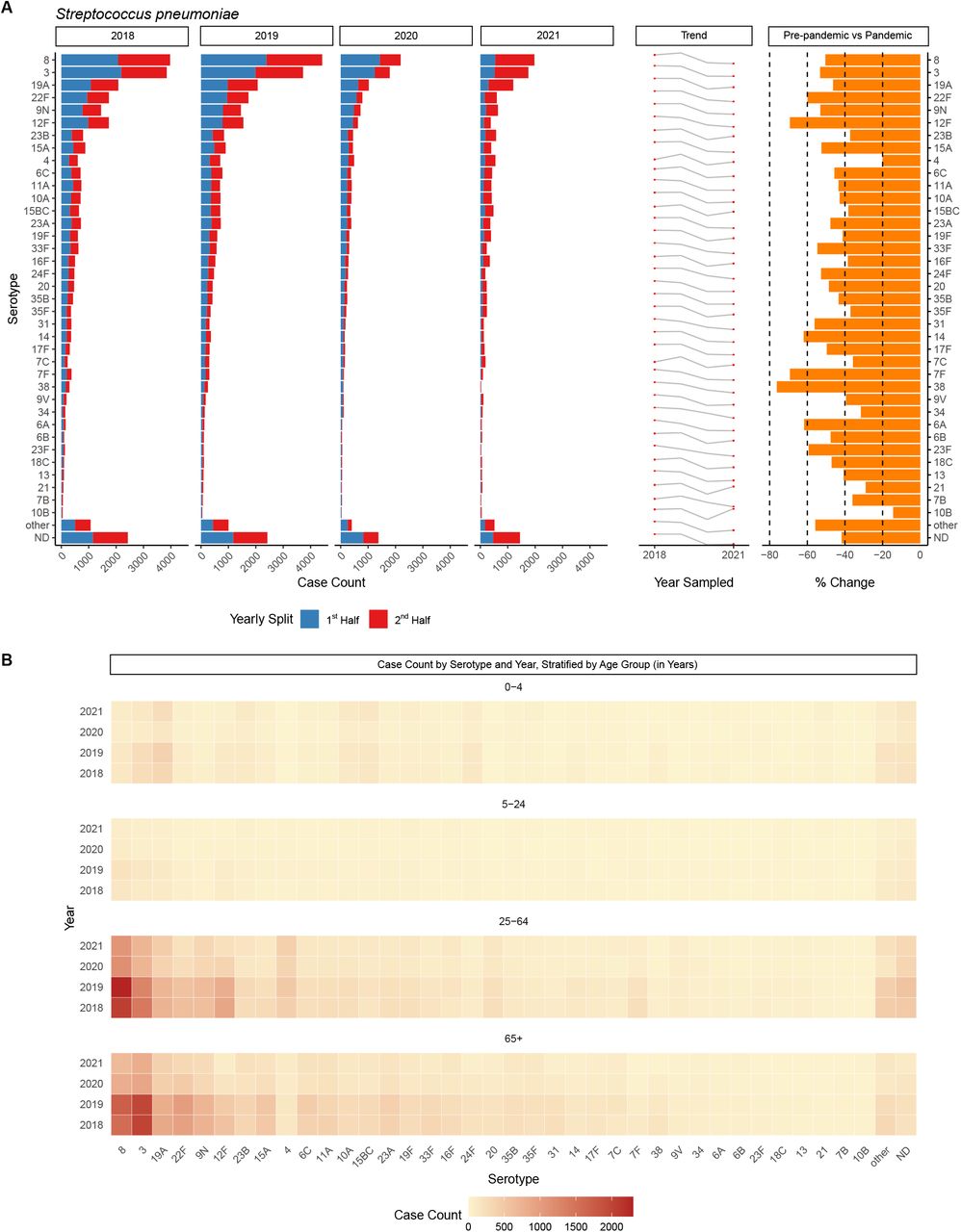 S pneumoniae invasive disease cases by serotype and patient age. Panel A: Distribution of serotypes responsible for 90% of all reported cases between 2018-2021, listed by case count, increasing or decreasing trend year-by-year, and percentage change of each serotype recovered in 2018-2019 compared to 2020-2021 (average number of cases each year, pre-pandemic vs pandemic). Panel B: Heat map depicting the number of cases of each serotype recovered per year and by age group. Note: serotype ND = not determined.