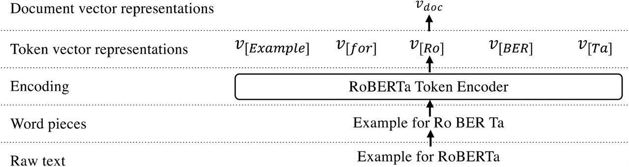 The process of how RoBERTa converts a clinical narrative into a vector representation.