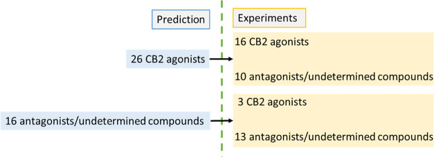 Comparison diagram of predicted and experimental activities.