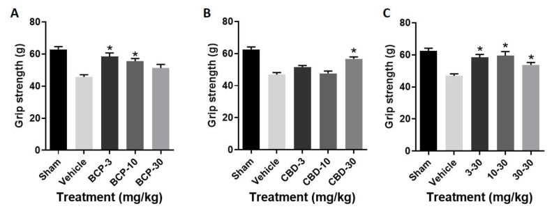 BCP, CBD and BCP + CBD combinations significantly improved grip strength in a mouse model of permanent ischemia (photoinjury). X axis: treatment, Y axis, grip strength in grams. (A) BCP treatment led to a significant improvement in grip strength as compared to vehicle treatment (* p = 0.0001). (B) CBD treatment led to a significant improvement in grip strength as compared to vehicle treatment (* p = 0.0001). (C) BCP + CBD treatment led to a significant improvement in grip strength as compared to vehicle treatment (* p = 0.0001). Data are expressed as mean and SEM and were analyzed utilizing one-way ANOVA with Dunnett’s multiple comparison test.