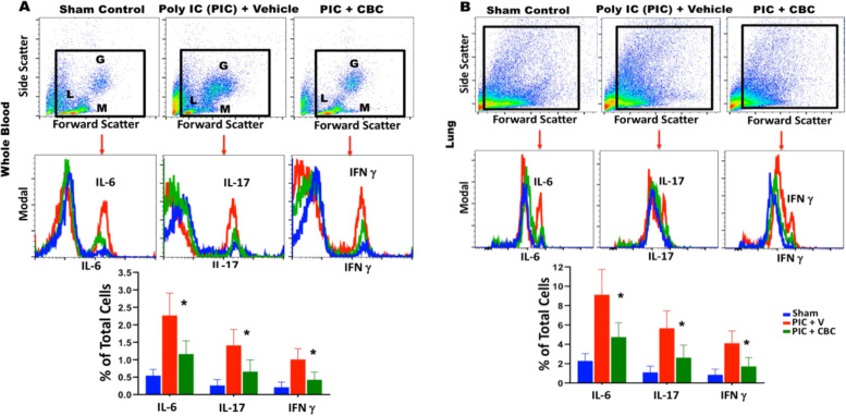Inhalant cannabichromene (CBC) reduced ARDS-like induced inflammatory indices. Flow cytometry analysis of A whole blood and B lung tissues showed that Intranasal administration of Poly(I:C) effectuated a significant increase of pro-inflammatory cytokines including IL-6, IL-17, and IFNγ (PIC group) compared to the control group (sham). These effects were reversed with inhalant CBC (PIC + CBC), resulted in marked downregulation of all three pro-inflammatory cytokines (*p<0.03, means +/− SD). Further, the flow cytometry analysis of whole blood in the PIC group showed increased granulocytes (G) and monocytes (M) while lymphocytes were decreased compared to mice treated with inhalant CBC (PIC + CBC) supporting the notion that inhalant CBC can reverse the adverse effects of ARDS and re-establish the immune balance, resolving lymphopenia and restoring homeostasis