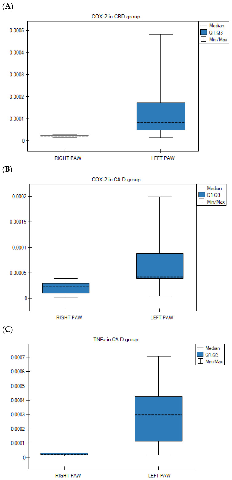Gene expression in right paws and left paws in the rat group with carrageenan test: (A) For COX-2 after CBD (cannabidiol) (i.g.), p = 0.028 (non-parametric data—in Wilcoxon matched-pairs test); (B) For COX-2 after Extract D—Cannabis sativa L. extract, variety Dora (i.g.) p = 0.021 (non-parametric data—in Wilcoxon matched-pairs test) (C) For TNFα after Extract D—Cannabis sativa L. extract, variety Dora (i.g.) p = 0.013 (parametric data—ANOVA test for paired data) i.g. intragastric administration; data presented as medians (---) with quartile ranges (Q1, Q3).