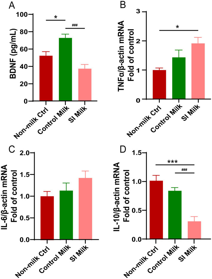 Effects of sleep interrupted dam’s milk on BDNF secretion and (anti- or pro-) inflammatory cytokine expressions in NE-4C stem cells. NE-4C stem cells were untreated (non-milk Ctrl), and treated with either 1% milk from control dams (Control milk) or 1% milk from sleep interrupted dams (SI milk) for 24 h. (A) Secretion of BDNF measured by ELISA in supernatant of the untreated and treated cells. (B–D) Relative mRNA expressions of (B) Tnf-α, (C) Il-6, (D) Il-10 in the untreated and treated cells. Quantification of mRNA expressions was normalized to β-actin mRNA abundance; n = 6–7 replicates per group. Data are presented as mean ± SEM. *p < 0.05 and ***p < 0.001 versus the untreated cells; ###p < 0.001 versus the control milk treated cells. SI, sleep interrupted; Il-10, interleukin 10; Il-6, interleukin 6; BDNF, brain-derived neurotrophic factor; Tnf-α, tumor necrosis factor alpha.