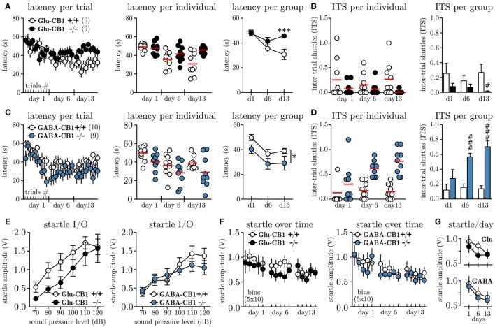 Conditional knock-out of CB1 on glutamatergic vs. GABAergic neurons differentially affects escape behavior. (A) Latencies to shuttle to the opposite compartment during the MWB task, given per trial (left panel), per individual and day (mid panel) and per group and day (right panel) for Glu-CB1+/+(N = 9) and Glu-CB1−/−(N = 9). (B) Inter-trial shuttles per individual and day (left panel) and per group and day (right panel) for Glu-CB1+/+ and Glu-CB1−/−. (C) Latencies to shuttle to the opposite compartment during the MWB task, given per trial (left panel), per individual and day (mid panel) and per group and day (right panel) for GABA-CB1+/+(N = 10) and GABA-CB1−/−(N = 9). (D) Inter-trial shuttles per individual and day (left panel) and per group and day (right panel) for GABA-CB1+/+ and GABA-CB1−/−. (E) Startle input-output (I/O) curves for Glu-CB1 and GABA-CB1 animals. (F) Startle response at SPL50 development over time depicted in bins of 10 trials. (G) Same Same data as in (F) but shown as average startle amplitude at SPL50 per day for the individual groups for (upper panel) Glu-CB1+/+ (empty circles) and Glu-CB1−/− (filled circles) animals and (lower panel) GABA-CB1+/+ (empty circles) and GABA-CB1−/− (filled circles) animals. Asterisks indicate significance values obtained by repeated measures two-way ANOVA followed by Bonferroni post-hoc test: * p < 0.05, ***p < 0.001. Hashes indicate significance values obtained by Mann-Whitney U-tests: # p < 0.05, ### p < 0.001. All values are given as mean ± SEM. Red bars in individual data represent the mean value.