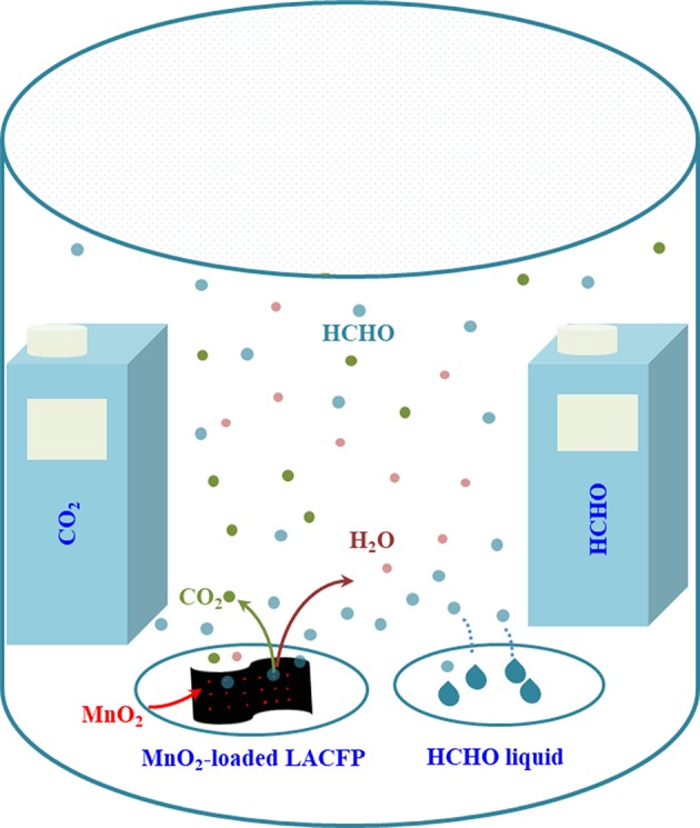Schematic diagram of the device for catalytic degradation reaction of formaldehyde using MnO2-loaded LACFP.