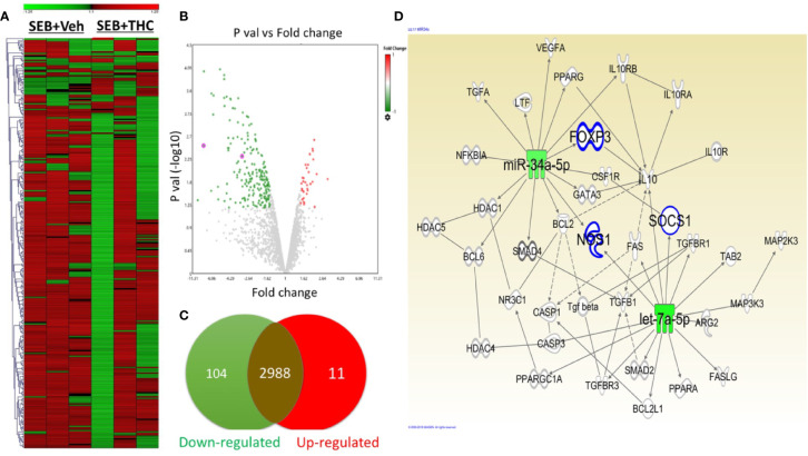 THC alters miR expression in lung infiltrated MNCs exposed to SEB. Mice were treated with SEB + Veh or SEB + THC as described in Figure 1 legend. MNCs from the lungs were isolated and screened for miR expression as described in Methods. (A) Heat map of all miRs in SEB + Veh and SEB + THC groups. (B) Volcano plot depicts statistically dysregulated miRNAs in SEB + THC vs. SEB + Veh. (C) Venn diagram of miRs with two-fold change (upregulated, downregulated or no change). (D) Shows pathways and relationship between miRs and genes that regulate Treg, MDSC induction, proliferation, and signaling post-IPA analysis of dysregulated miRs.