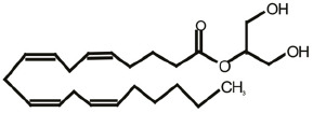 fnsyn-12-588660-t0001.jpg
