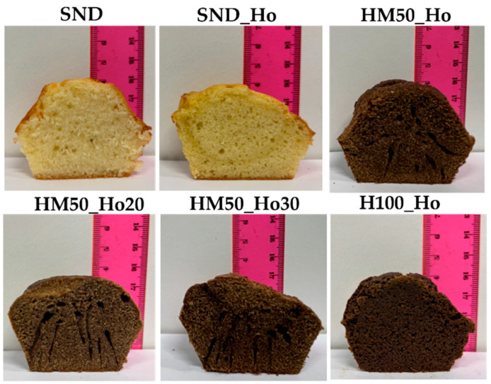 Section of cooked samples showing the appearance, the crumb, and the heights of cupcakes. SND is the standard sample; SND_Ho is the formulation standard with hemp oil (Ho); HM50_Ho is the formulation with hemp flour (H) and maize starch (M); HM50_Ho20 is the formulation HM50_Ho with hemp oil reduction of 20%; HM50_Ho30 is the formulation HM50_Ho with hemp oil reduction of 30%; H100_Ho is the formulation with hemp flour (H) and hemp oil (Ho).