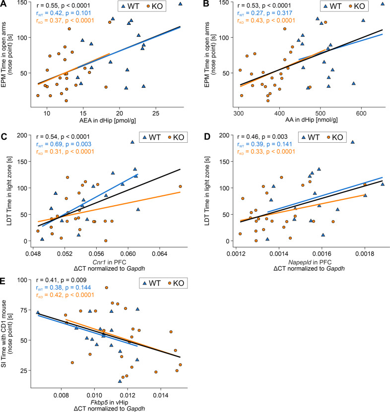 Correlation between selected behavioral response measurements and molecular markers in selected brain regions of Arc-NAPE-PLD WT and KO mice.A, B Correlation between AEA and AA levels in dHip and the time mice spent in the open arms of the EPM. C, D Correlation between Cnr1 and Napepld mRNA levels in the PFC and the time mice spent in the light compartment of the LDT. E Correlation between Fkbp5 mRNA levels in vHip and the time spent interacting with the CD1 mouse in the SI test. Regression lines were drawn irrespective of genotype (black) as well as separately for WT (blue; n = 16) and KO (orange; n = 24) animals. The overall Pearson correlation coefficient as well as the correlation coefficients for each genotype and the respective p-value are shown on the plots. Fkbp5 FK506 binding protein 5.