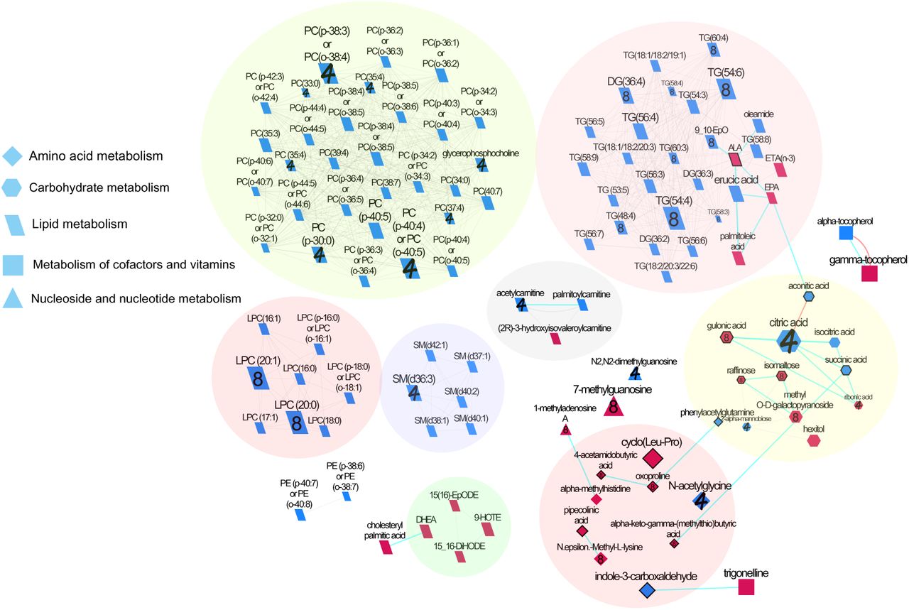 Biochemical network displaying differences between almond and cracker groups over 4 and 8 weeks. Metabolites are connected based on biochemical relationships (orange, KEGG RPAIRS), measured structural similarity (blue, Tanimoto coefficient ≥ 0.7), or manually annotated structural similarity (grey). Metabolite size denotes the effect size (Hedge’s g, almond vs cracker group). Metabolite color represents the direction of the effect size i.e. blue, almond > cracker overall (P<0.05); red, almond < cracker overall (P<0.05). Numbers denote the time point at which the significant i.e. (P<0.05) time x snack effect was observed i.e., 4, week 4; 8, week 8; no number represents significant overall snack effect. P-values are derived from the baseline-adjusted linear mixed model analysis. Shapes display primary metabolic pathways or structural superclass designations obtained via ClassyFire. Metabolites potentially produced by the gut microbiome are highlighted with thick black borders. Clusters of metabolites are circled. Significant metabolites which did not have KEGG identifiers are included as independent nodes with manually annotated edges in their respective pathway clusters.