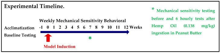 Experimental Timeline.