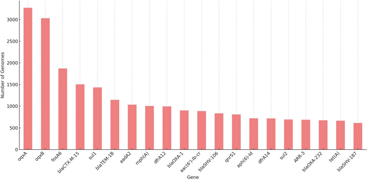 Prevalence of major antimicrobial resistance genes in K. pneumoniae genomes.Bar chart showing the number of genomes carrying each of the top 25 most frequently detected AMR genes. Genes conferring resistance to β-lactams (blaCTX-M-15, blaSHV, blaTEM-1B), aminoglycosides (aadA2, aph(6)-Id), fluoroquinolones (qnrS1), and sulfonamides (sul1, sul2) were dominant across the genomes.